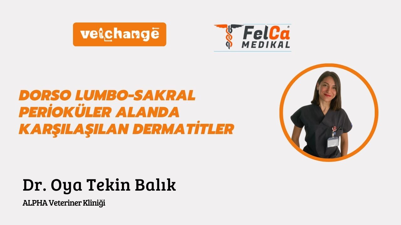 Dorso Lumbo-Sakral Perioküler Alanda Karşılaşılan Dermatitler Dr. Oya Tekin Balık